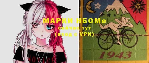 спайс Няндома